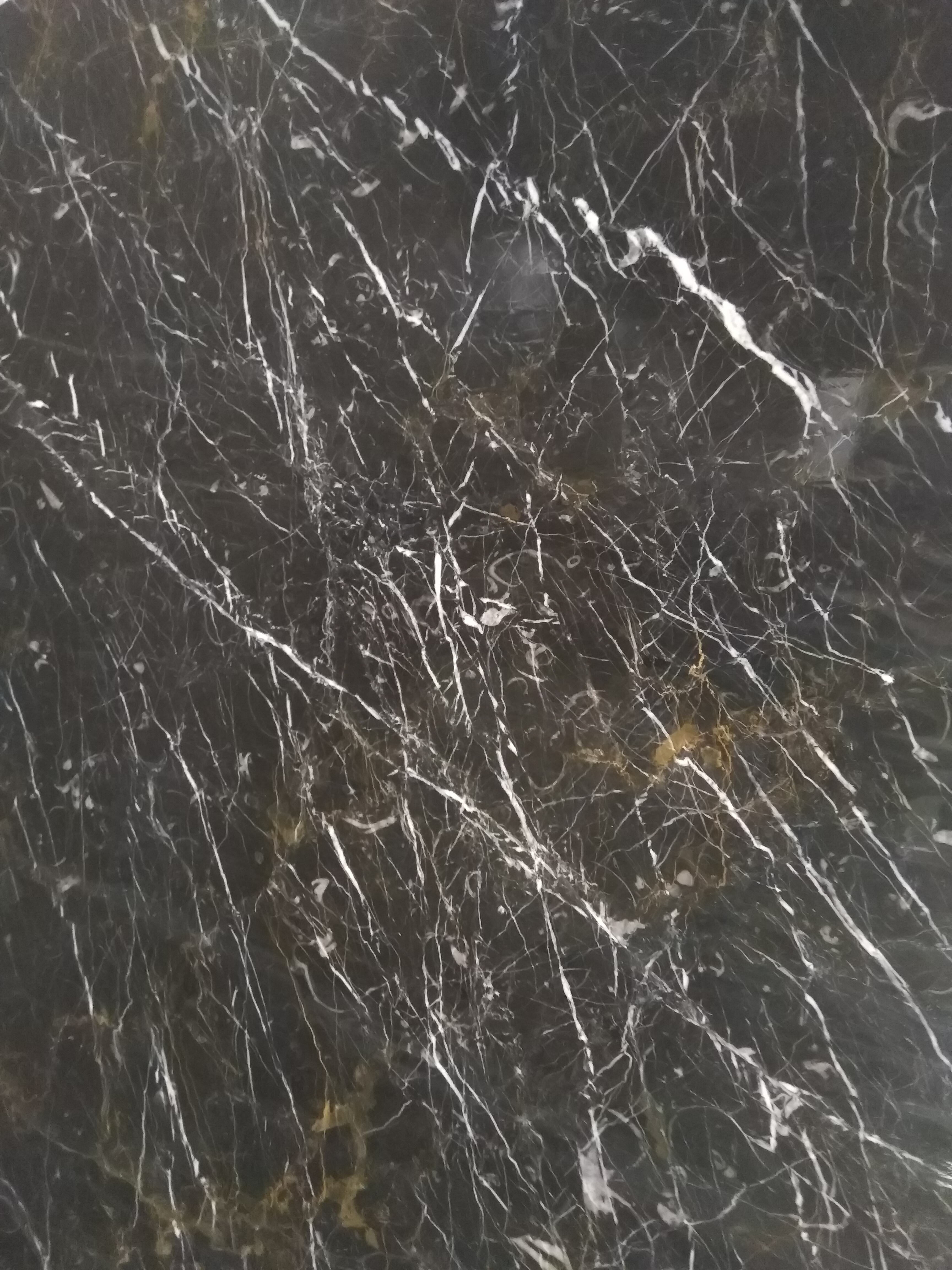 سنگ گلدن بلک سنگ براق با رگهای طلایی وسفید